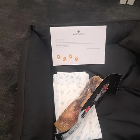 Отель Grand Focus Щецин