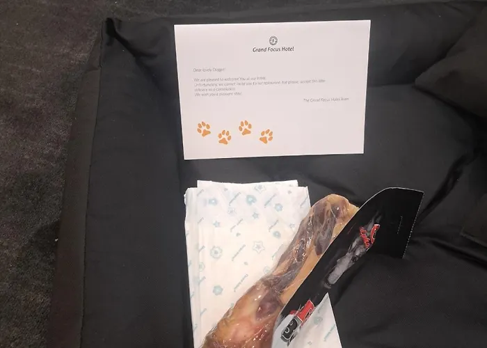 Hotel Grand Focus Szczecin